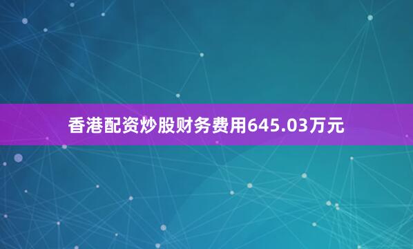 香港配资炒股财务费用645.03万元
