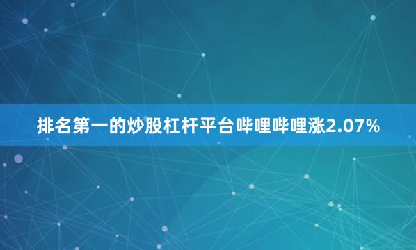 排名第一的炒股杠杆平台哔哩哔哩涨2.07%
