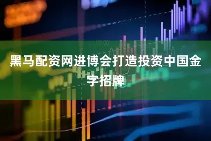 黑马配资网进博会打造投资中国金字招牌